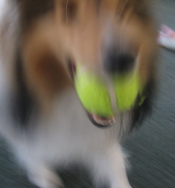 katie-running-resized.jpg