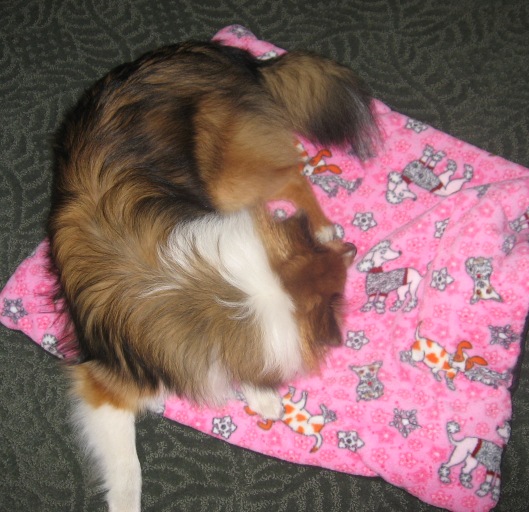 sleeping-katie-resized.jpg