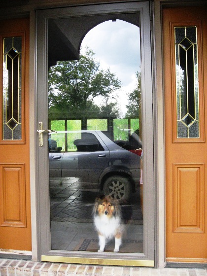 katie-waiting-may-08-corrected-and-resized.jpg