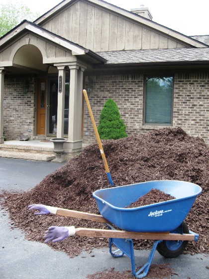 mulch-2008-may-resized.jpg