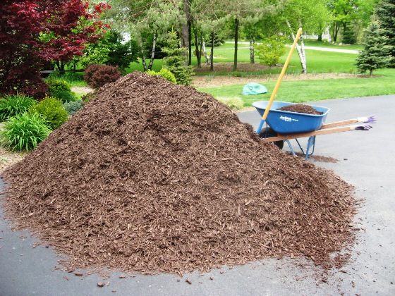 mulch-may-2008-resized.jpg