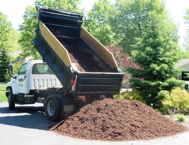 dump-truck-cropped-and-resized-30-percent.jpg