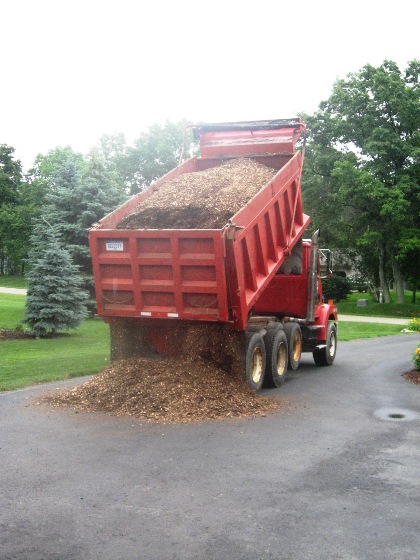 wood-chip-start-dump-resized-6-08.jpg
