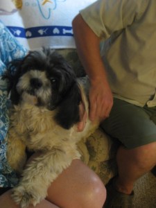 Trip South June 2010 269