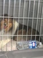 IMG_6057 (Small) (2)