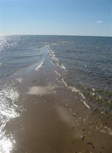 IMG_6850 (Small) (2)