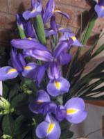 Family July 2008 163 (Small)