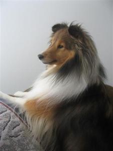 Imported Photos 00157 (Small)