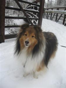 Imported Photos 00174 (Small)