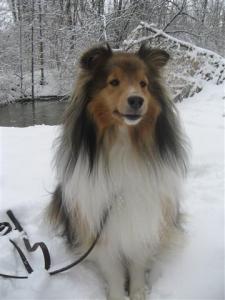 Imported Photos 00180 (Small)