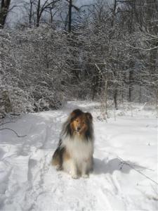 Imported Photos 00198 (Small)