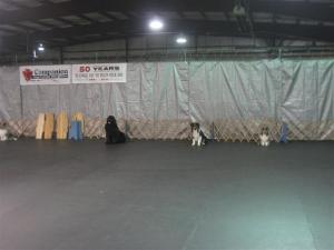 Imported Photos 00293 (Small)