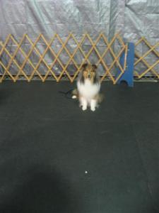 Imported Photos 00294 (Small)