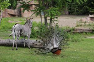 Imported Photos 00050 (Small)