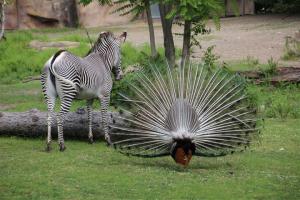 Imported Photos 00053 (Small)