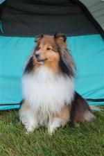 Imported Photos 00602 (Small)