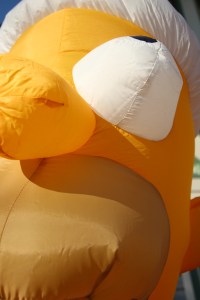 Imported Photos 00442