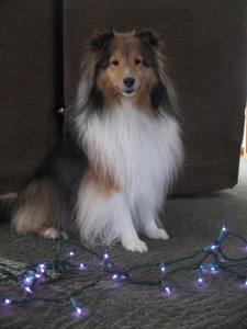 Imported Photos 01015