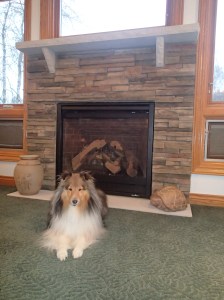 Fireplace installed!