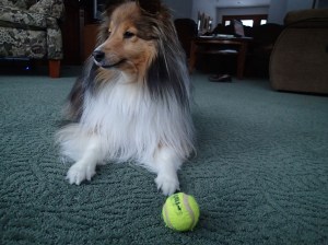 If I don't look at her she'll let me take a nap.