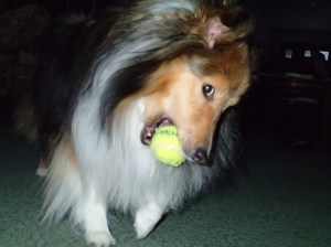 I keep bringing her back the ball.