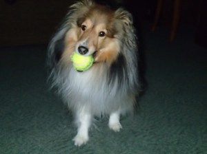 And keep bringing it back.