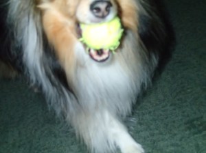 It's a never ending job.