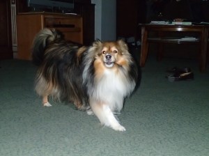 Of course sometimes a girl's got to say enough!