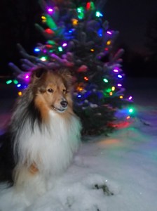 Merry Christmas everyone!