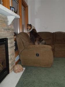 There's something OUT THERE Mama!