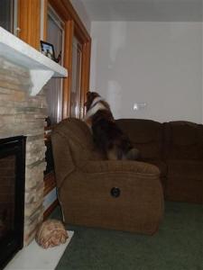 There's something OUT THERE Mama!