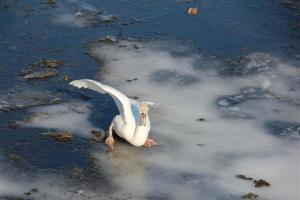 Imported Photos 00024 (Small)