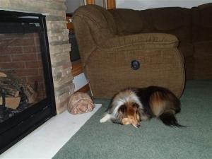 ZZZZ z z z..z...z...