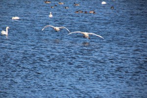 Imported Photos 00054