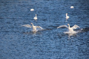 Imported Photos 00056