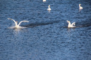 Imported Photos 00057