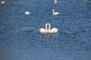 Imported Photos 00060