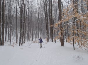 Following in friend's path.