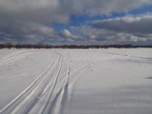 Snowy orchard.