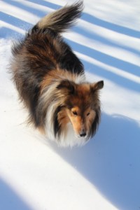 So much snow, so little time.