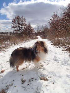 Did you hear something over there?