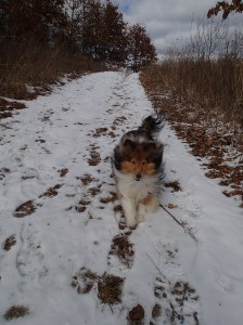 This is so much FUN!