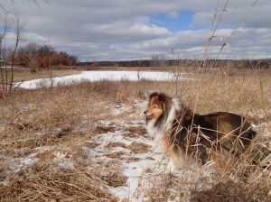 Sometimes I am majestic. Don't you think?