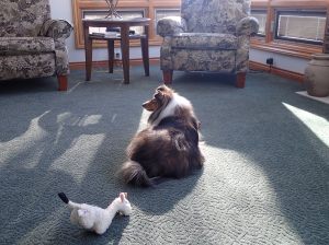 Don't want to play with my toys .