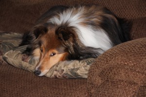 There's nothing to do.