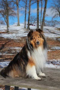 She made me sit up here.  I didn't like it.