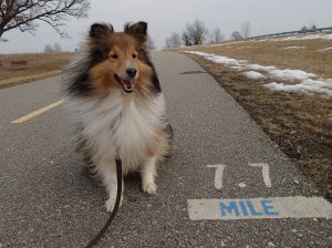 I walked a long way!