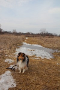 Pretty wet out here Mama!