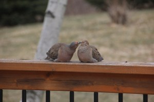 Imported Photos 00278