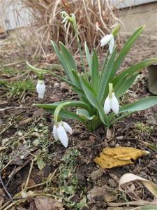 It's springtime in their hearts.